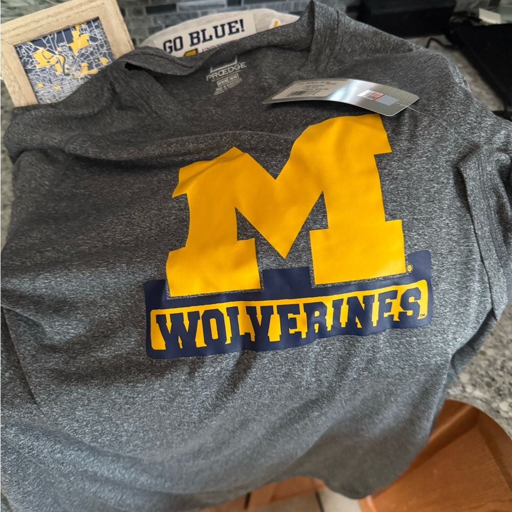 Gray Michigan Wolverines T-Shirt